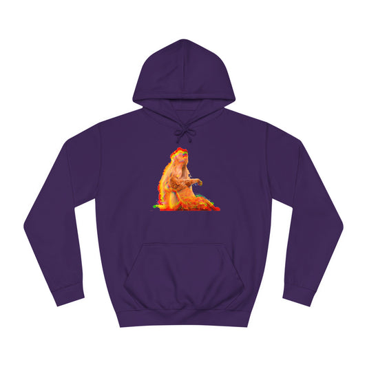 Macaque Hoodies - Macaque della Pieta Psych Red